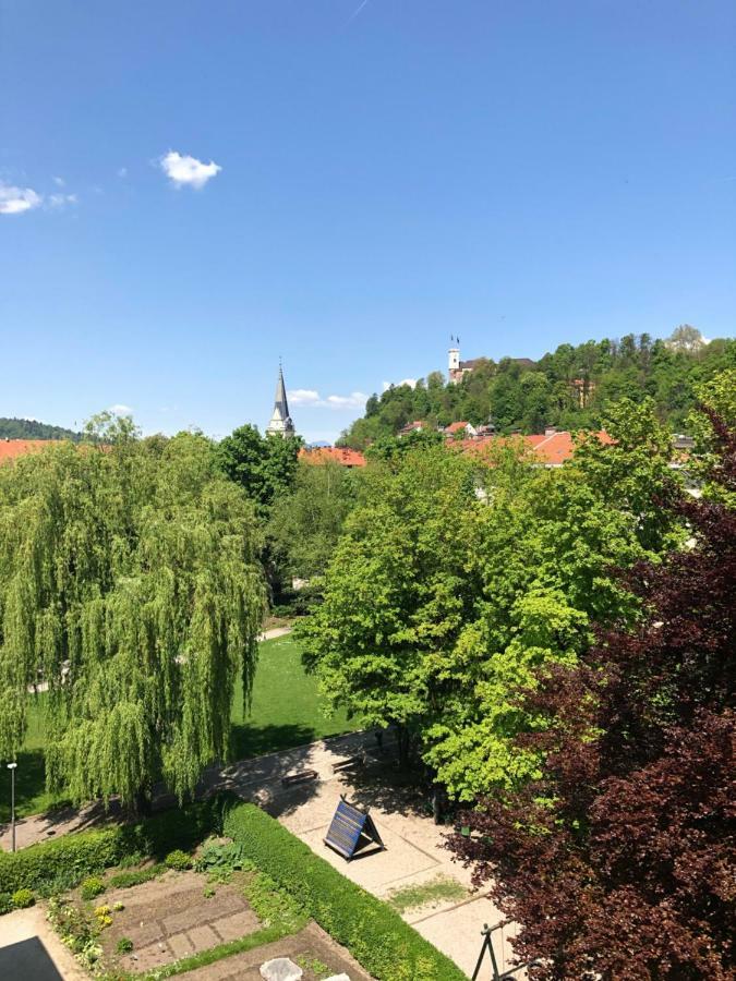 Castle View Studio Laibach Exterior foto