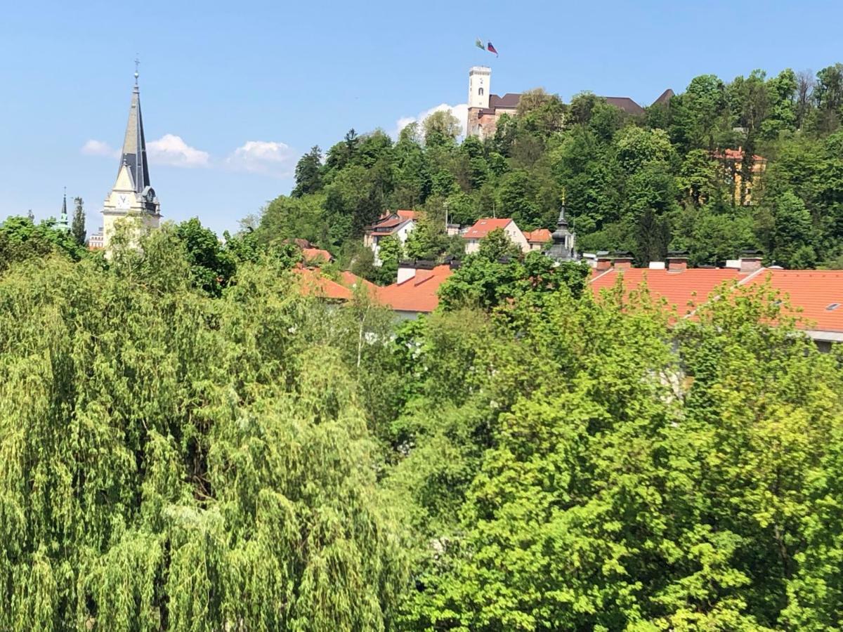 Castle View Studio Laibach Exterior foto